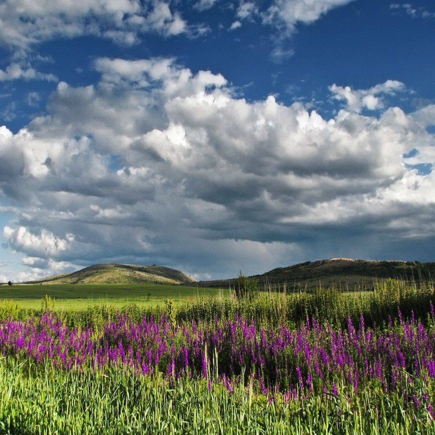 , Ирина Костова