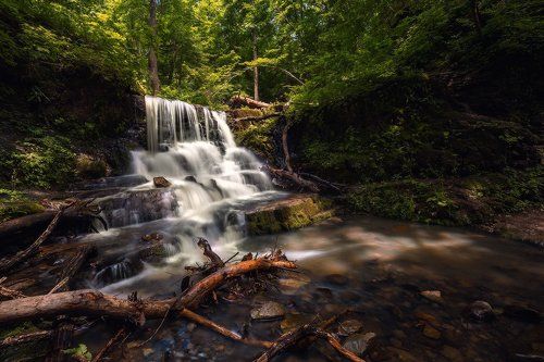 Однажды летом...
