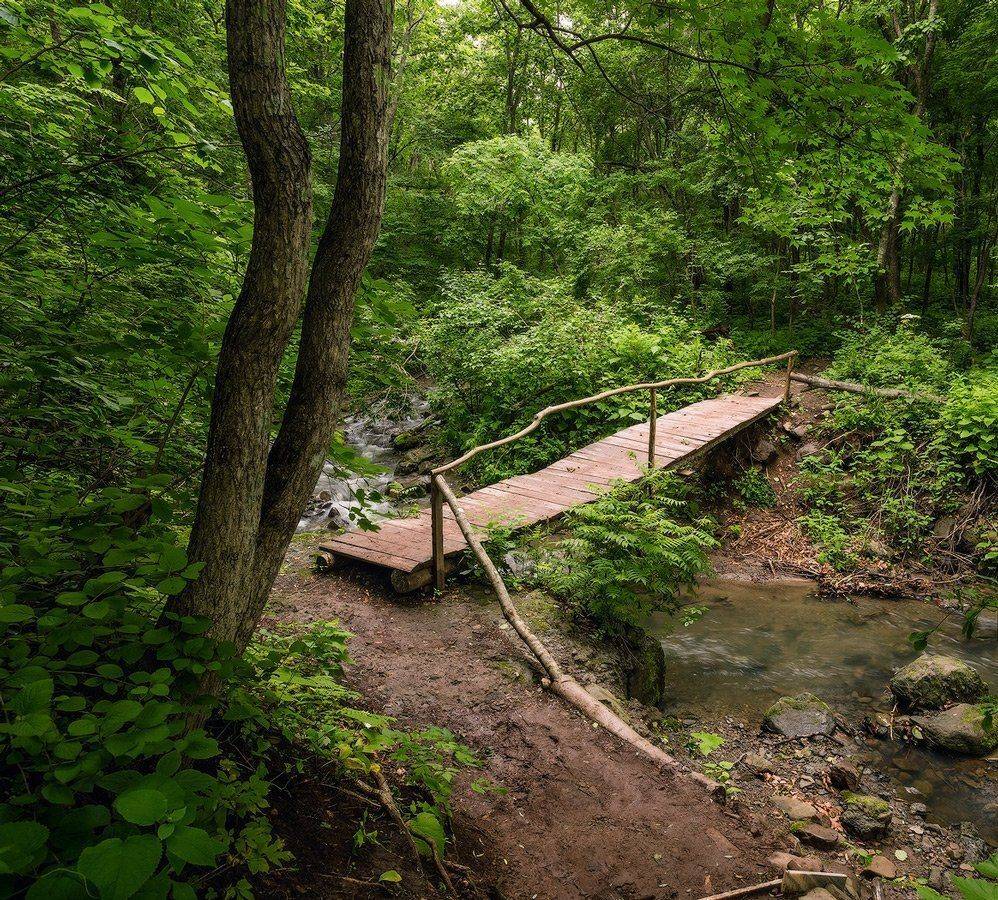 , Андрей Кровлин