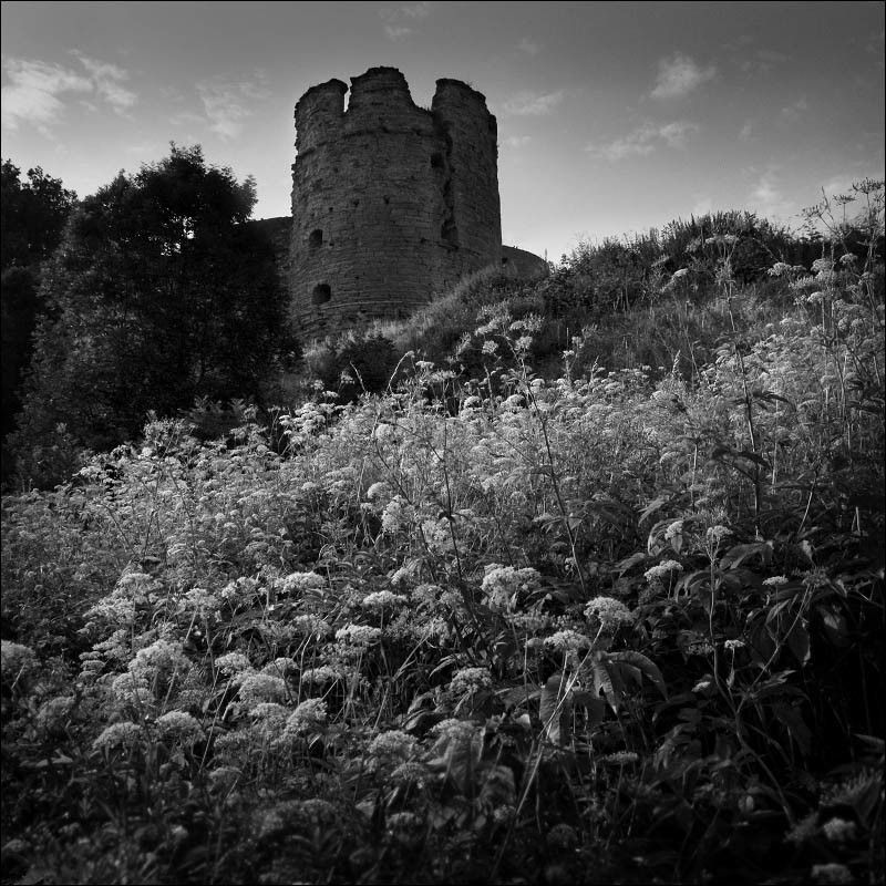 Середина лета фото превью