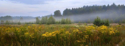 От панорамы до...