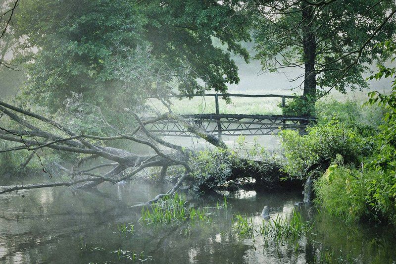 Летний этюд фото превью