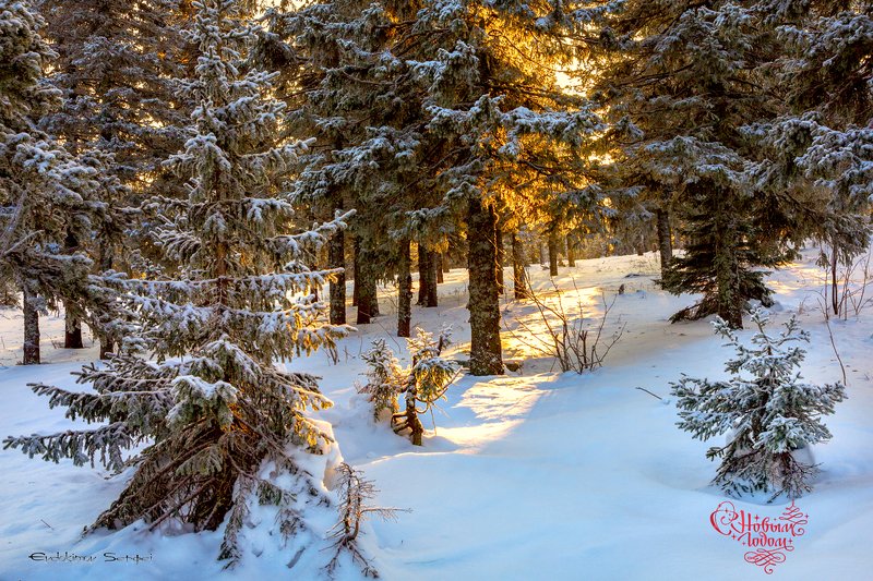 С новым годом фото превью