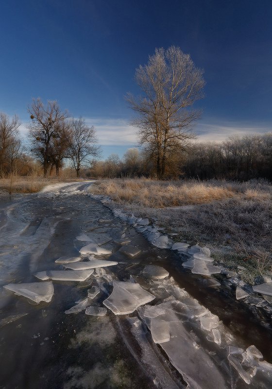 зима, утро, мороз, декабрь, лёд, иней По зимним дорожкам. фото превью