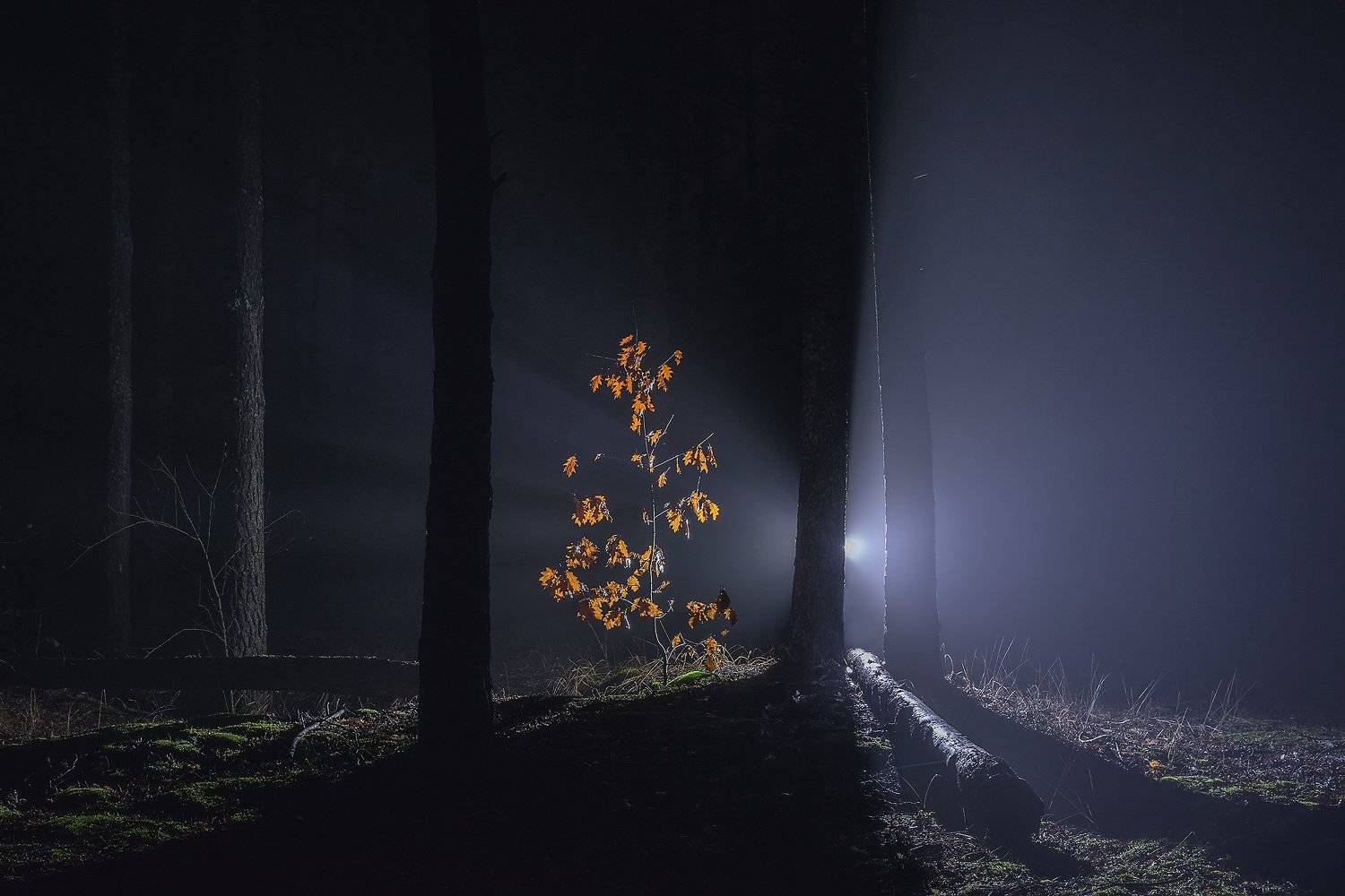 , Дмитрий Захаров