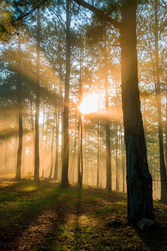 Da Lat 2020 фото превью