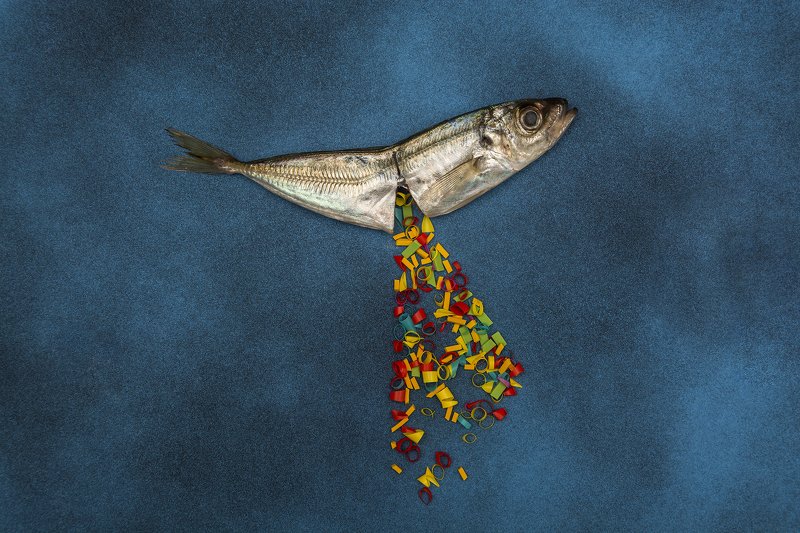 conceptual, nature, earth, planet, animals, sea, environment Confetti фото превью