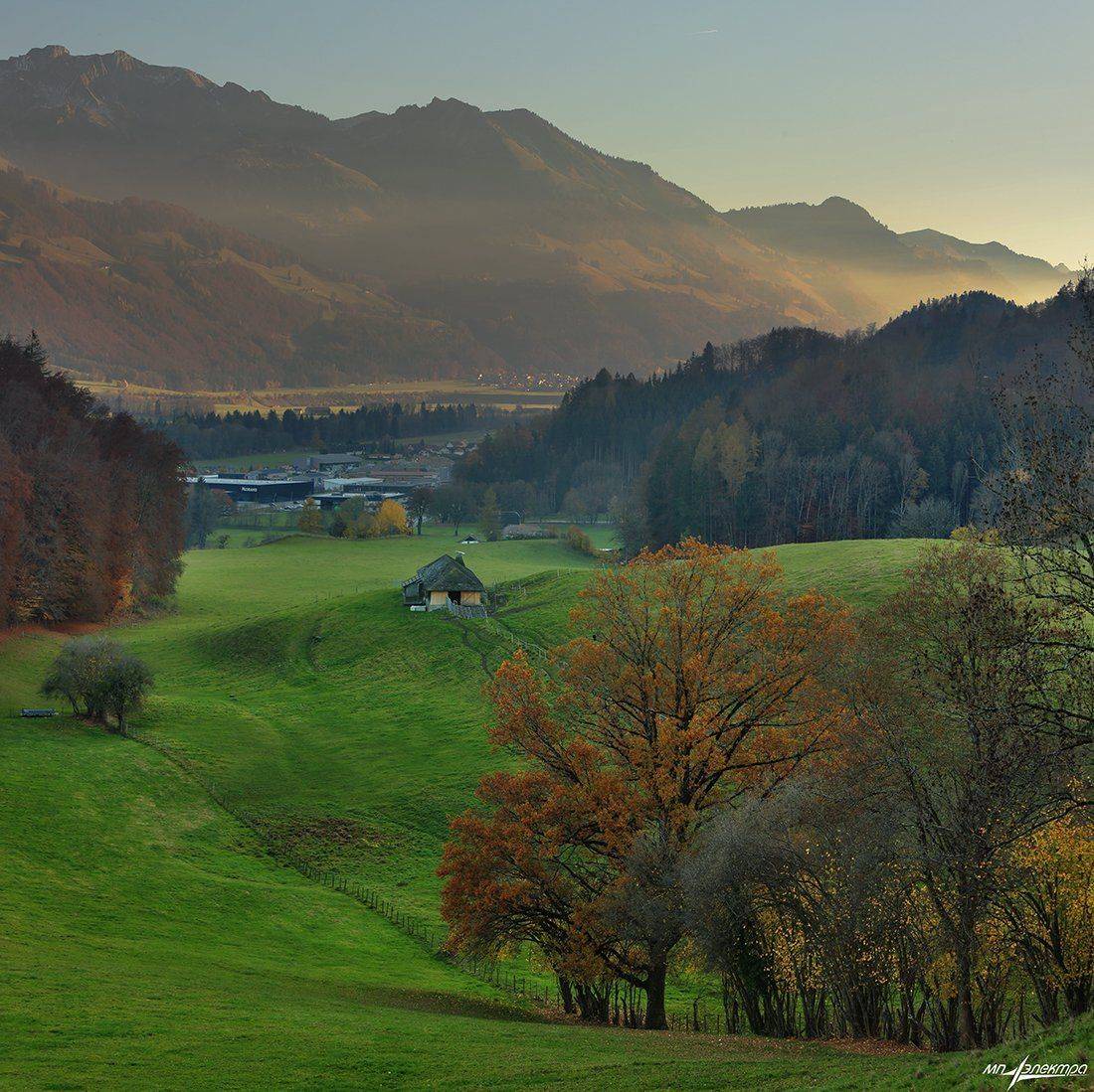 swiss, Матвеев Николай