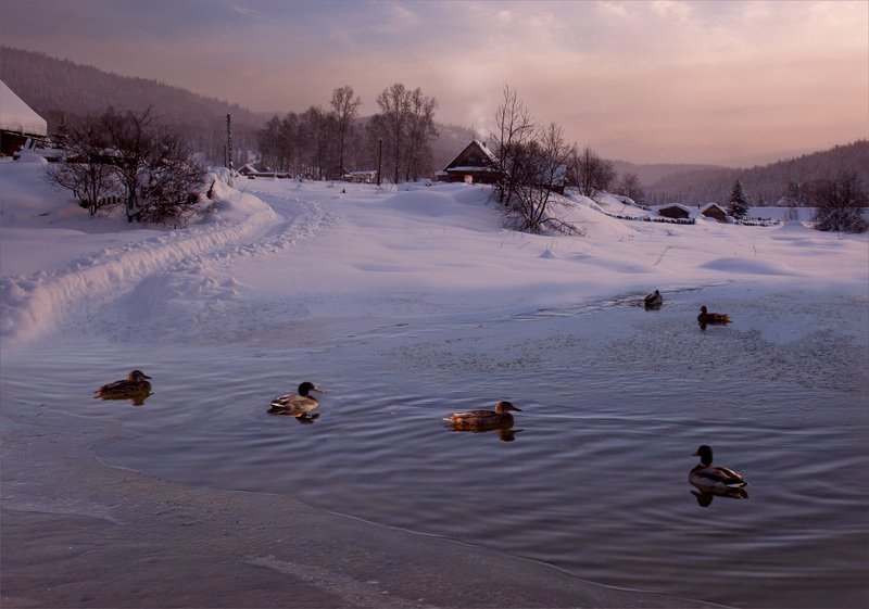 На окраине села фото превью