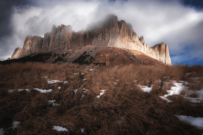 Портрет фото превью