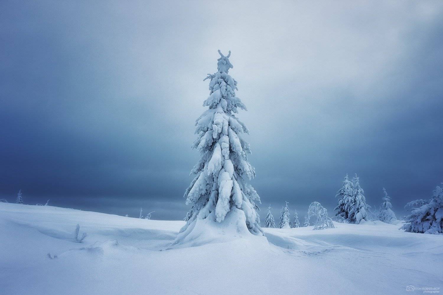 , Антон Кошетаров