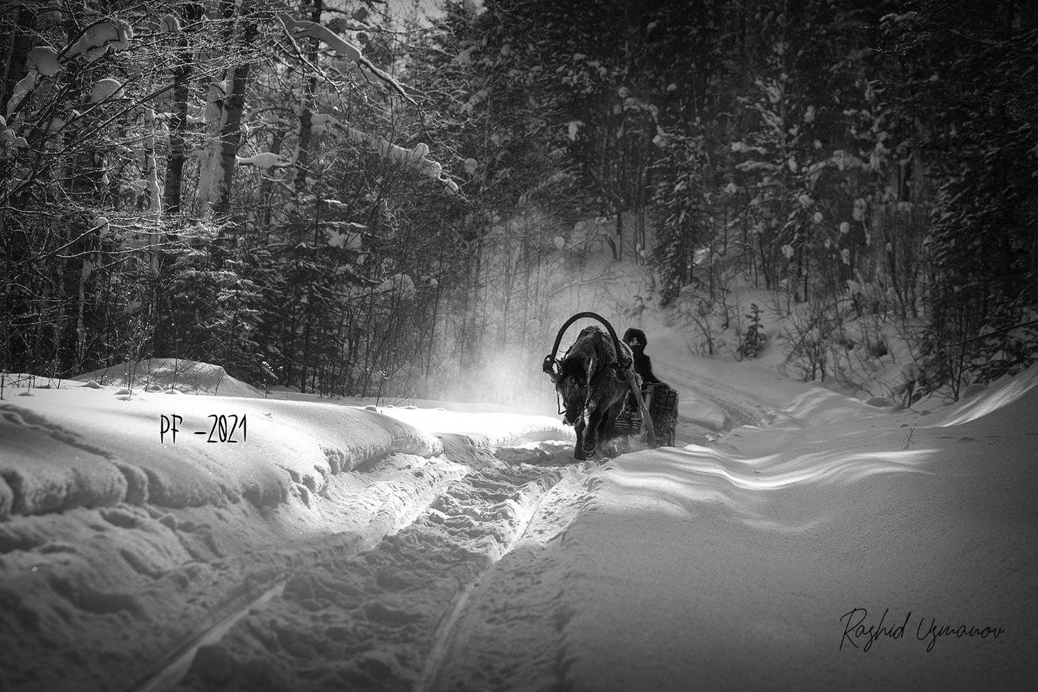 , Рашид Усманов