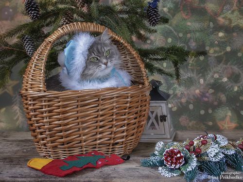 С наступающим Новым годом!