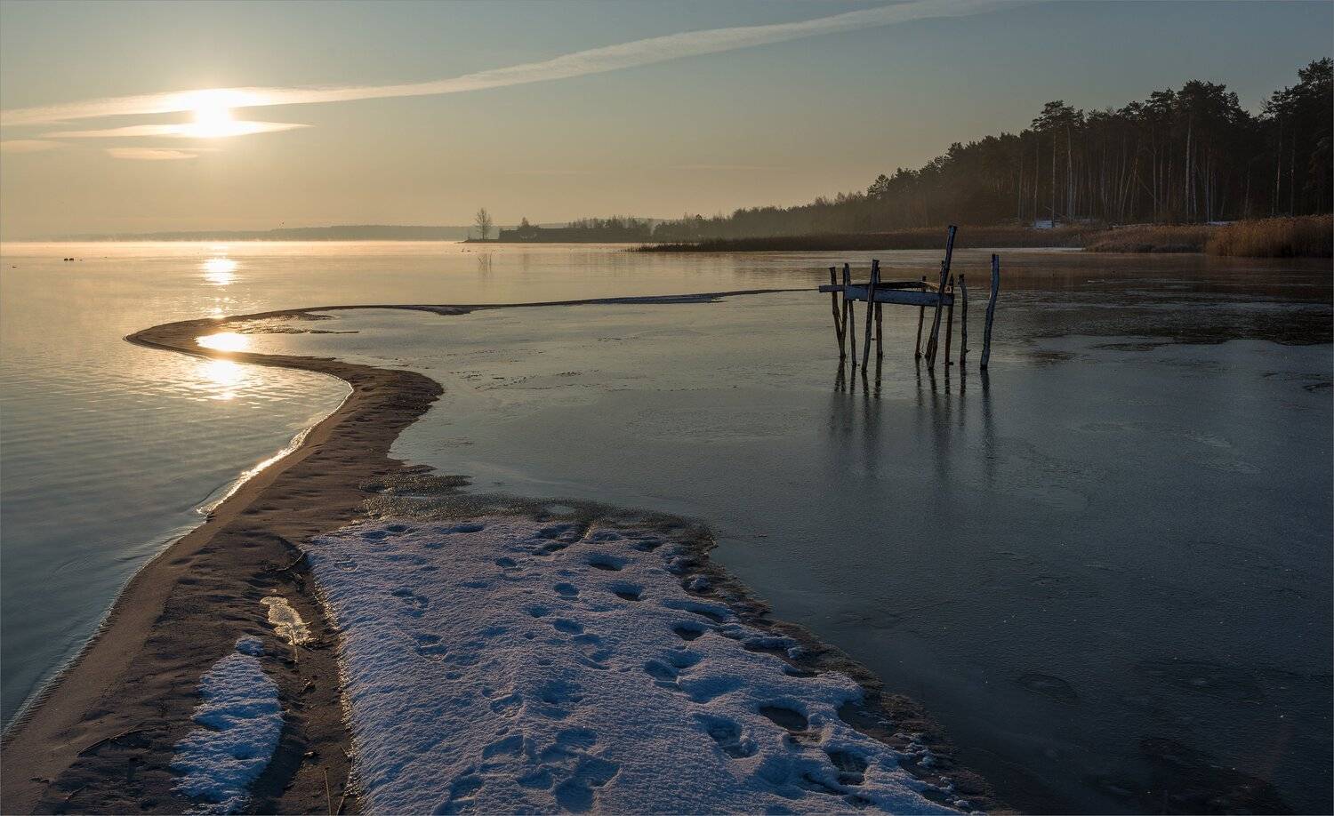 , Николай Шахманцир