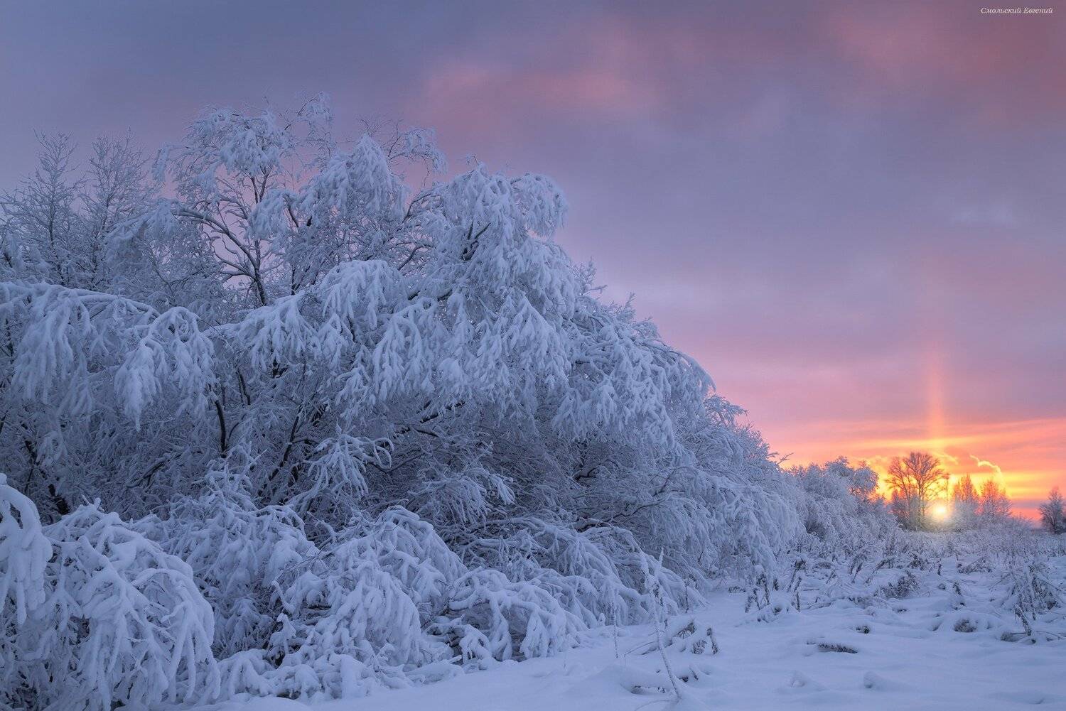 новый год, зима, мороз, закат, иней., Смольский Евгений