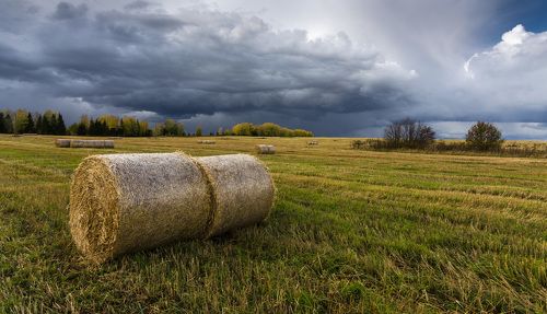 Осенний этюд