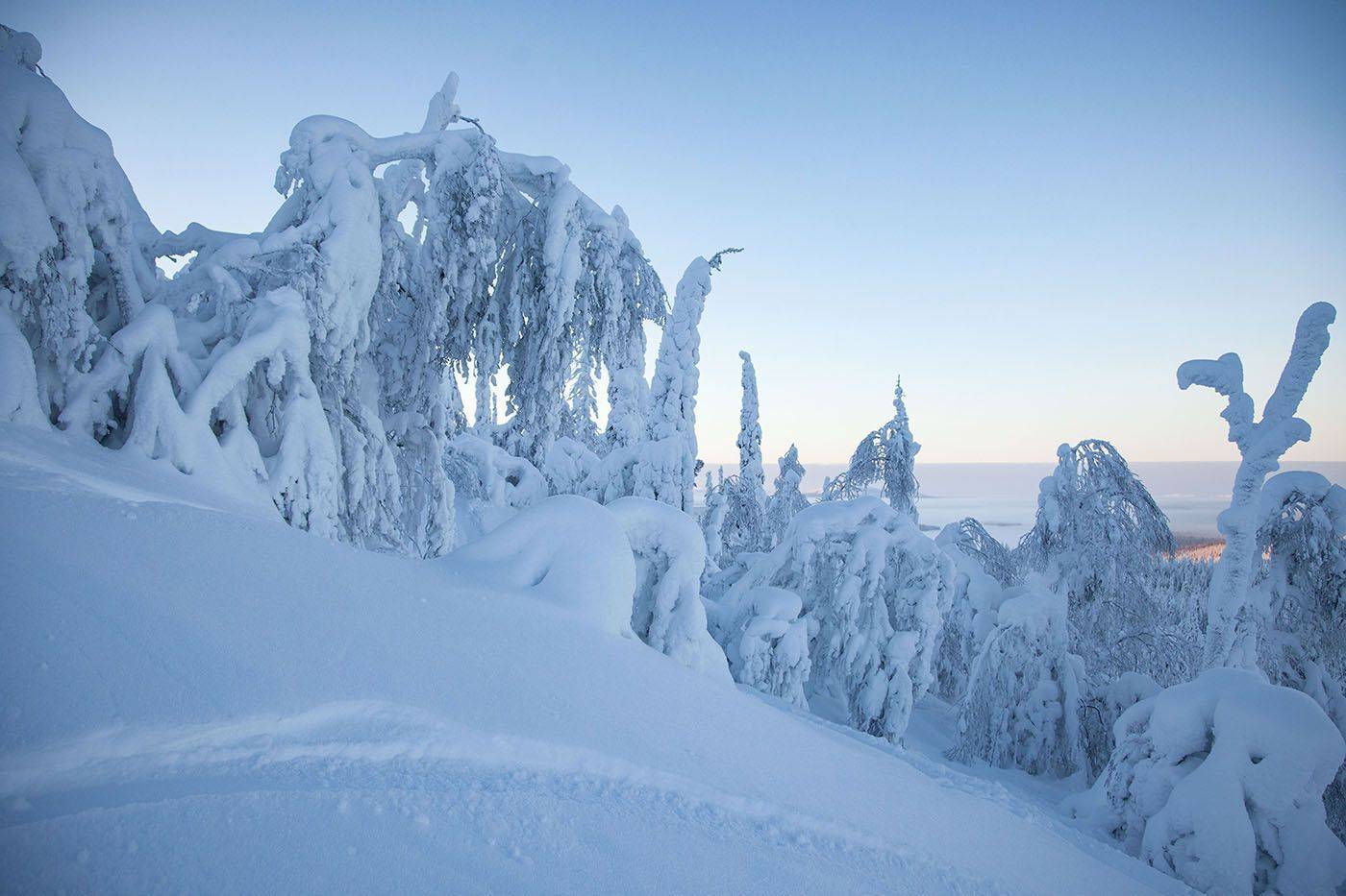 зима,заполярье,волшебство,природа,красота, winter, nature, magic, beautiful, Юлия Стукалова