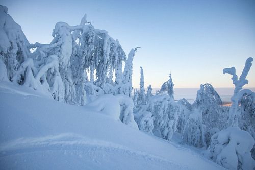 Зима в заполярье
