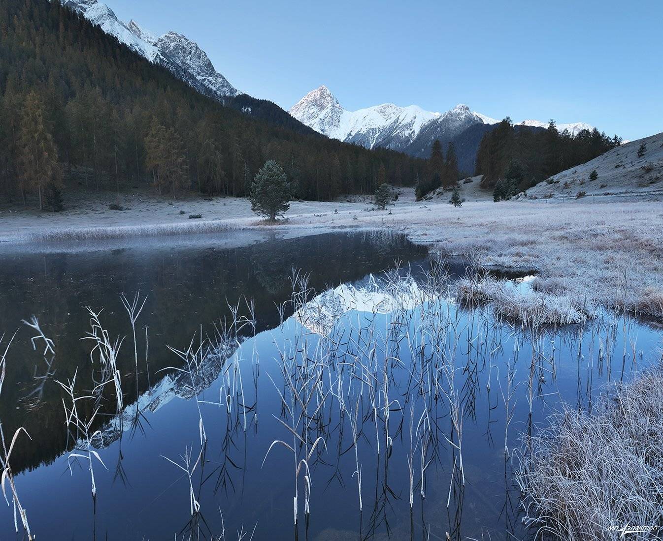 swiss, Матвеев Николай