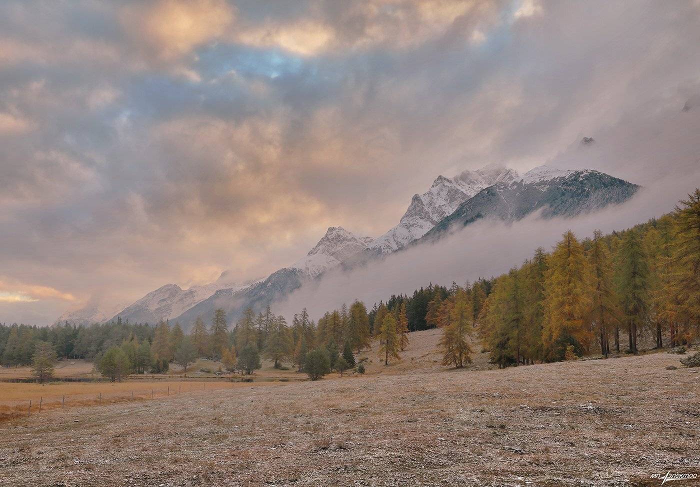 swiss, Матвеев Николай
