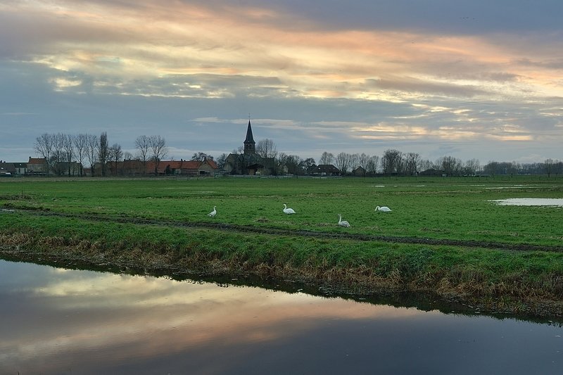 Morning in Noordschote (Belgium). фото превью