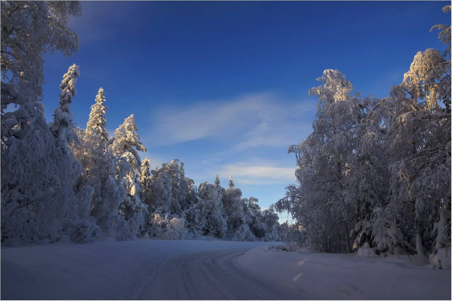 , Кондратьев Алексей