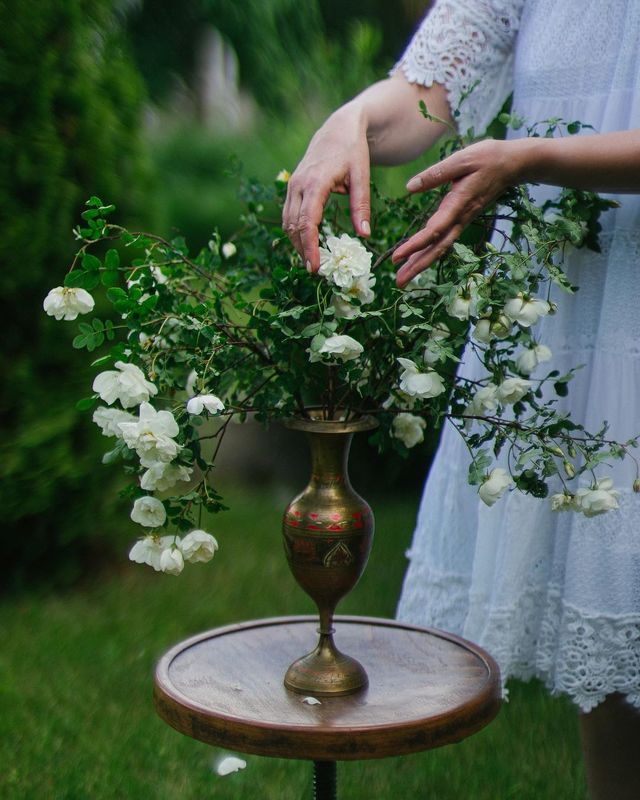 лето, цветы, букет, свет, боке  фото превью