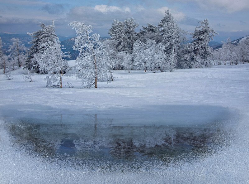 Таинственный мир природы фото превью