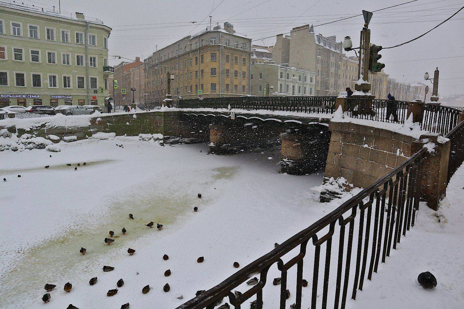 петербург, Александр Зорин