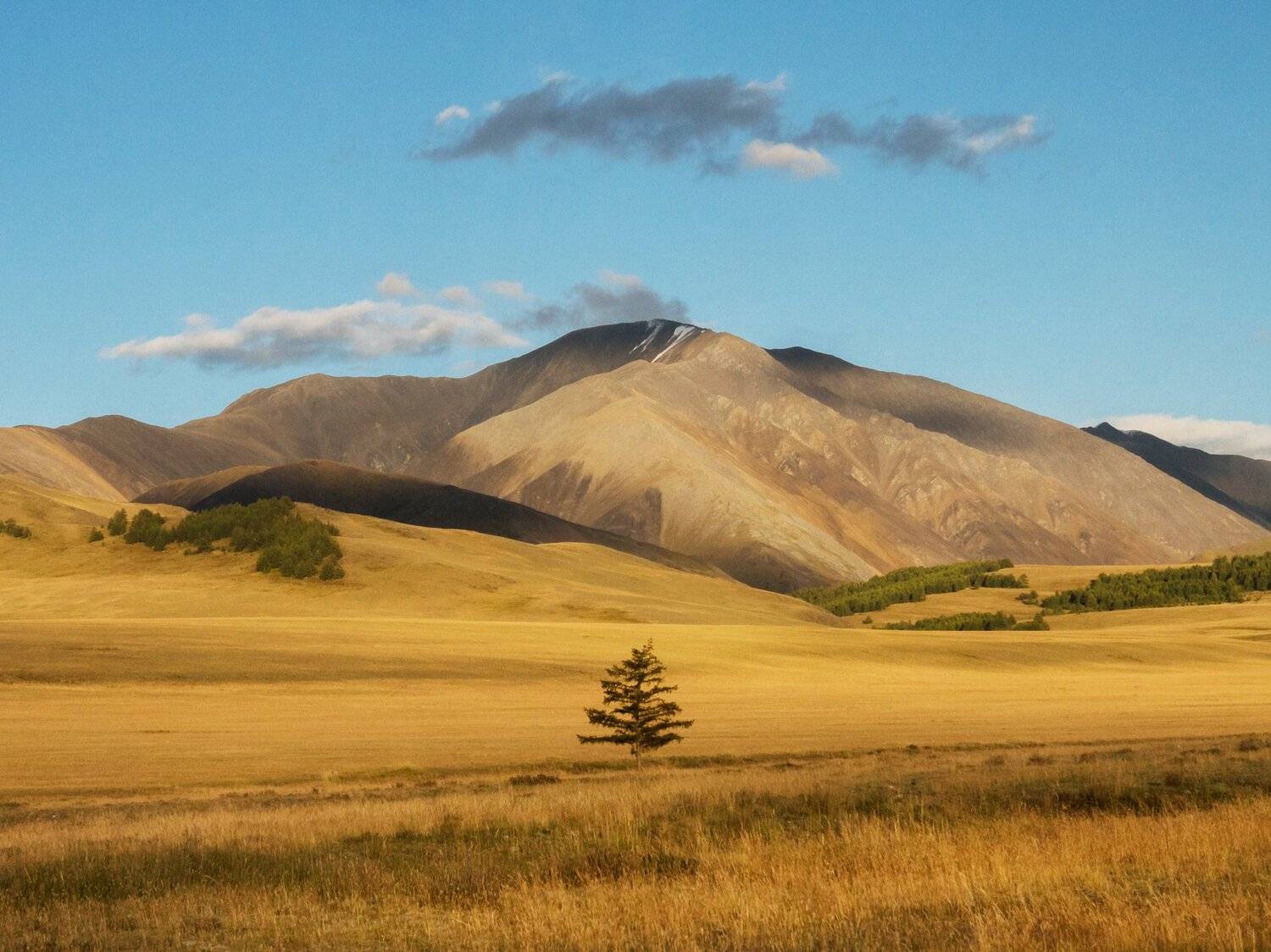 , Ольга Беккер