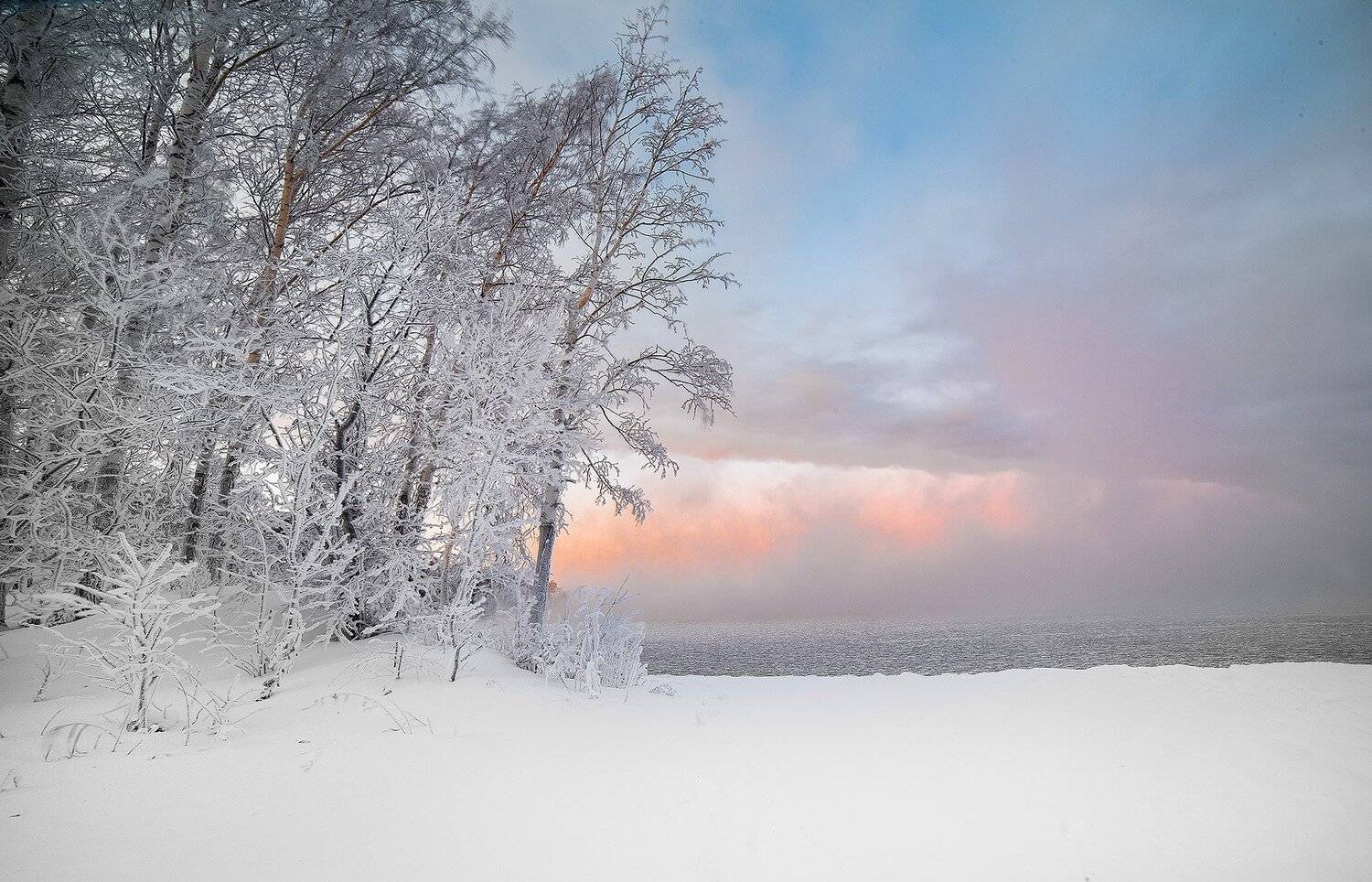 , Валерий Кучинский