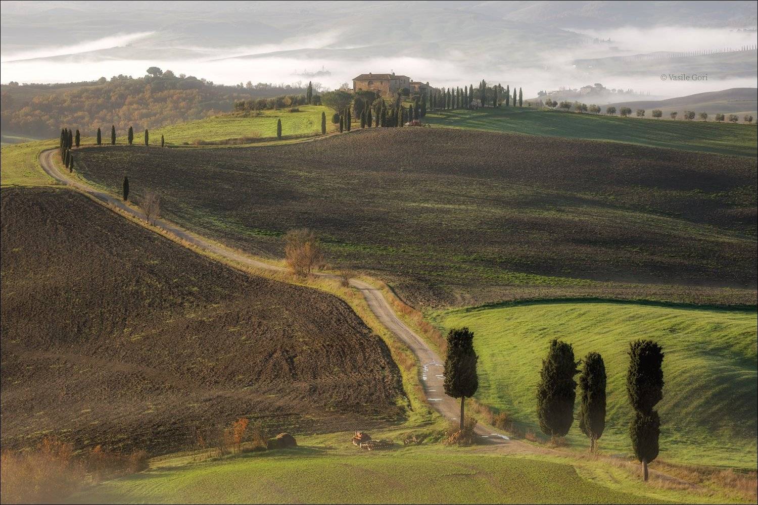 italy,san quirico d \' orcia,italia,туман,италия,тоскана,pienza,кипарис,toscana,осень,tuscany,cipressi,belvedere,пьенца,morning,colors,fog, Василий Гори
