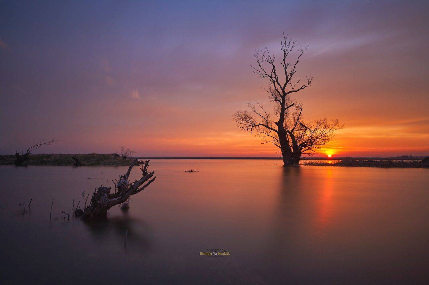 Vistula, Poland, river, sunrise, tree, Roman Hudzik