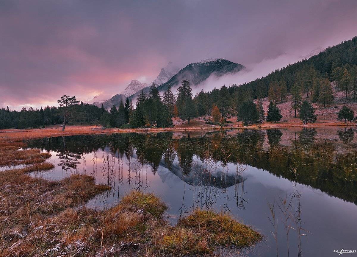 swiss, Матвеев Николай