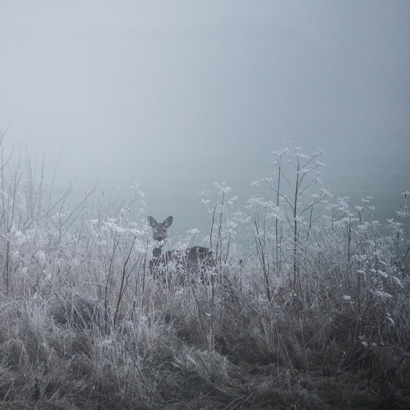 01.01.2021 фото превью