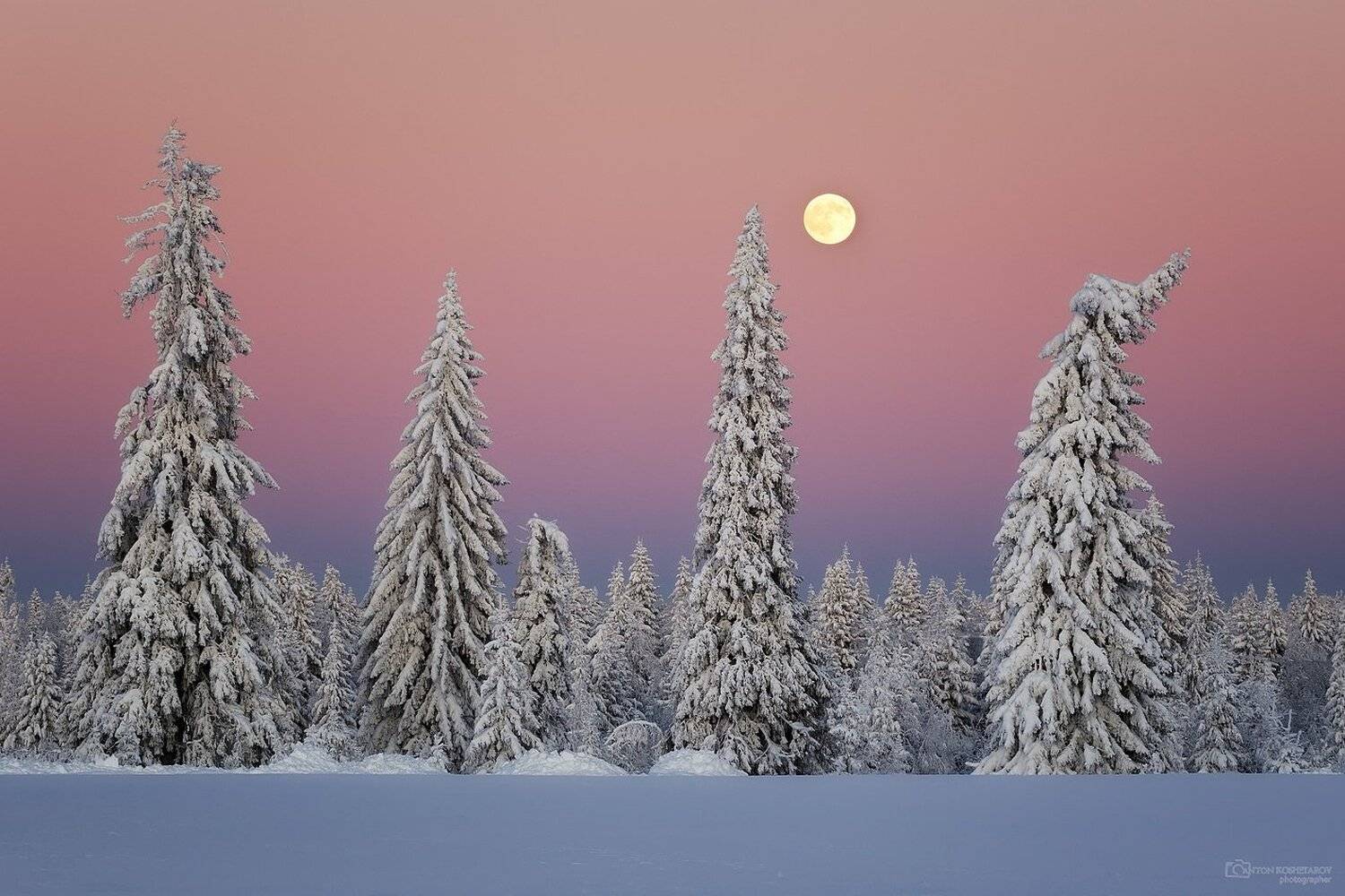 , Антон Кошетаров