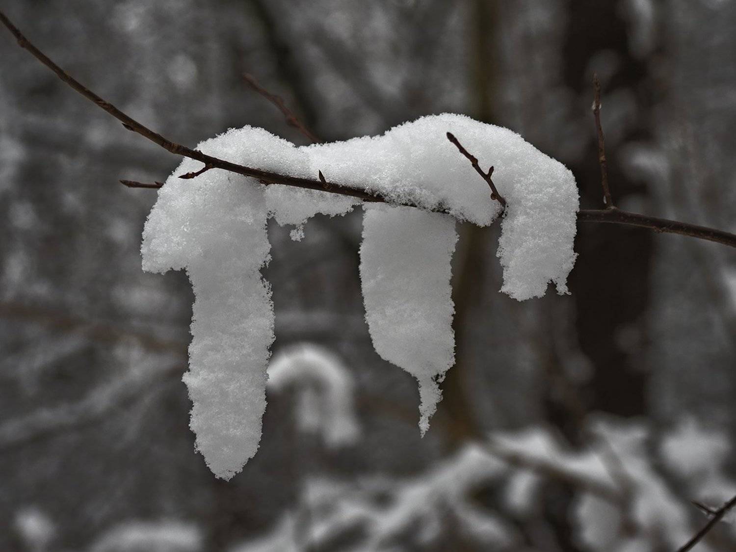 , Сергей Духанин