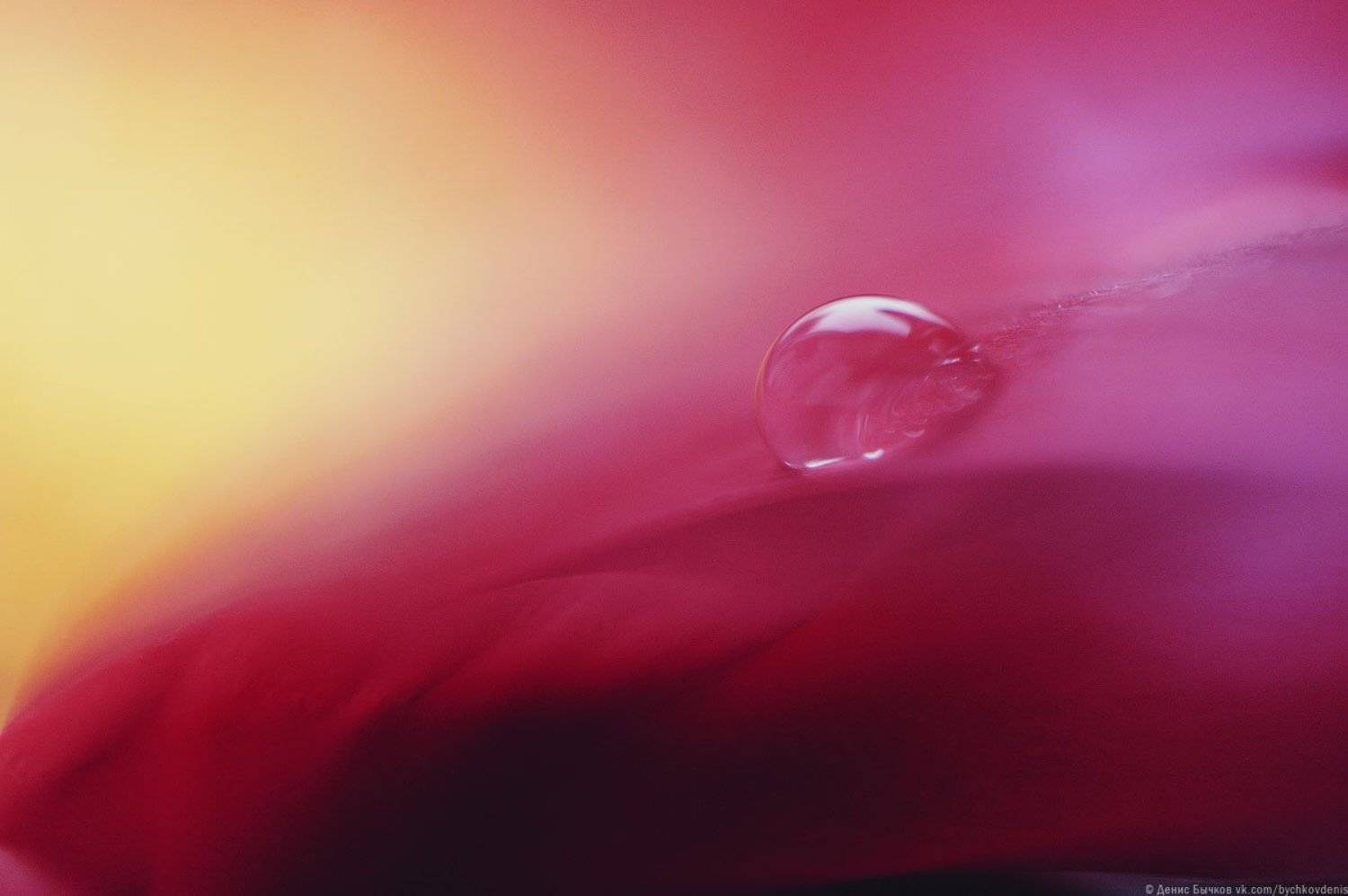 macro, Бычков Денис