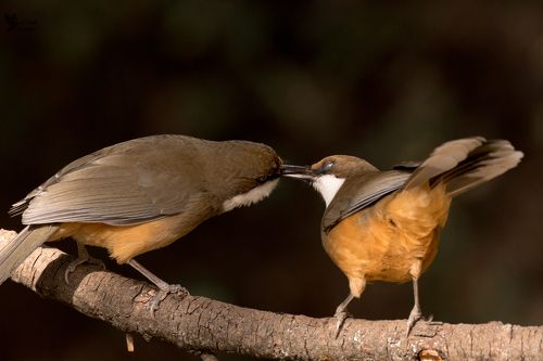 Sharing is caring