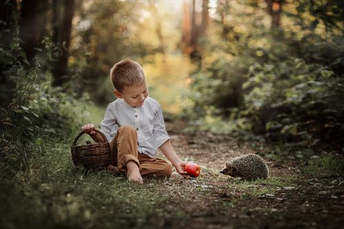 Лесная встреча.