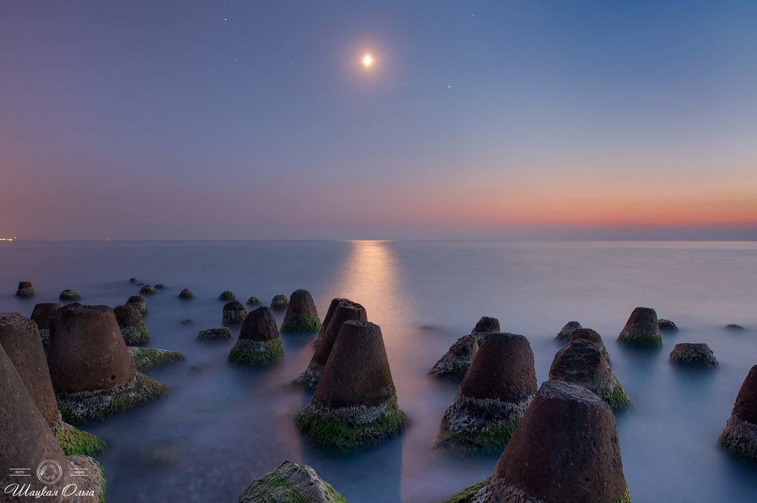 , Ольга Шацкая