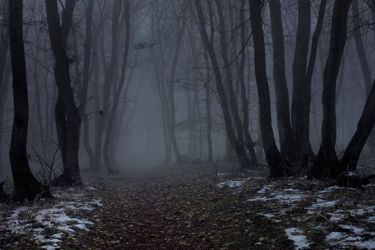 зима туман лес утро, Александр Жарников