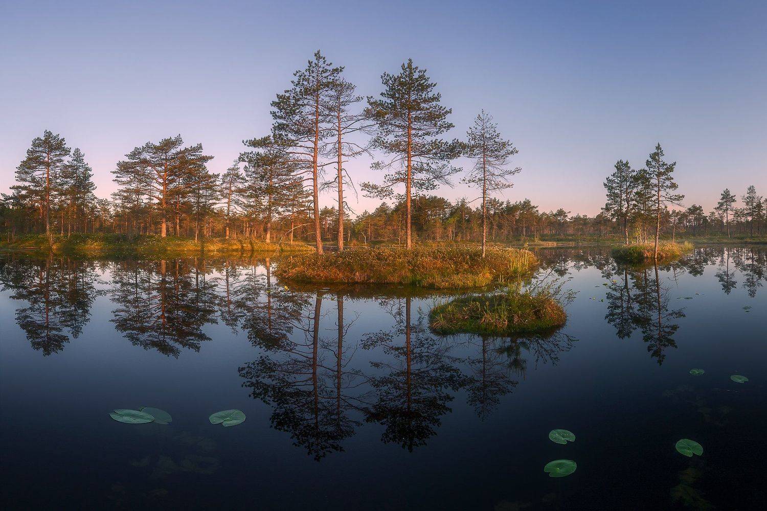 , Антон Кононов