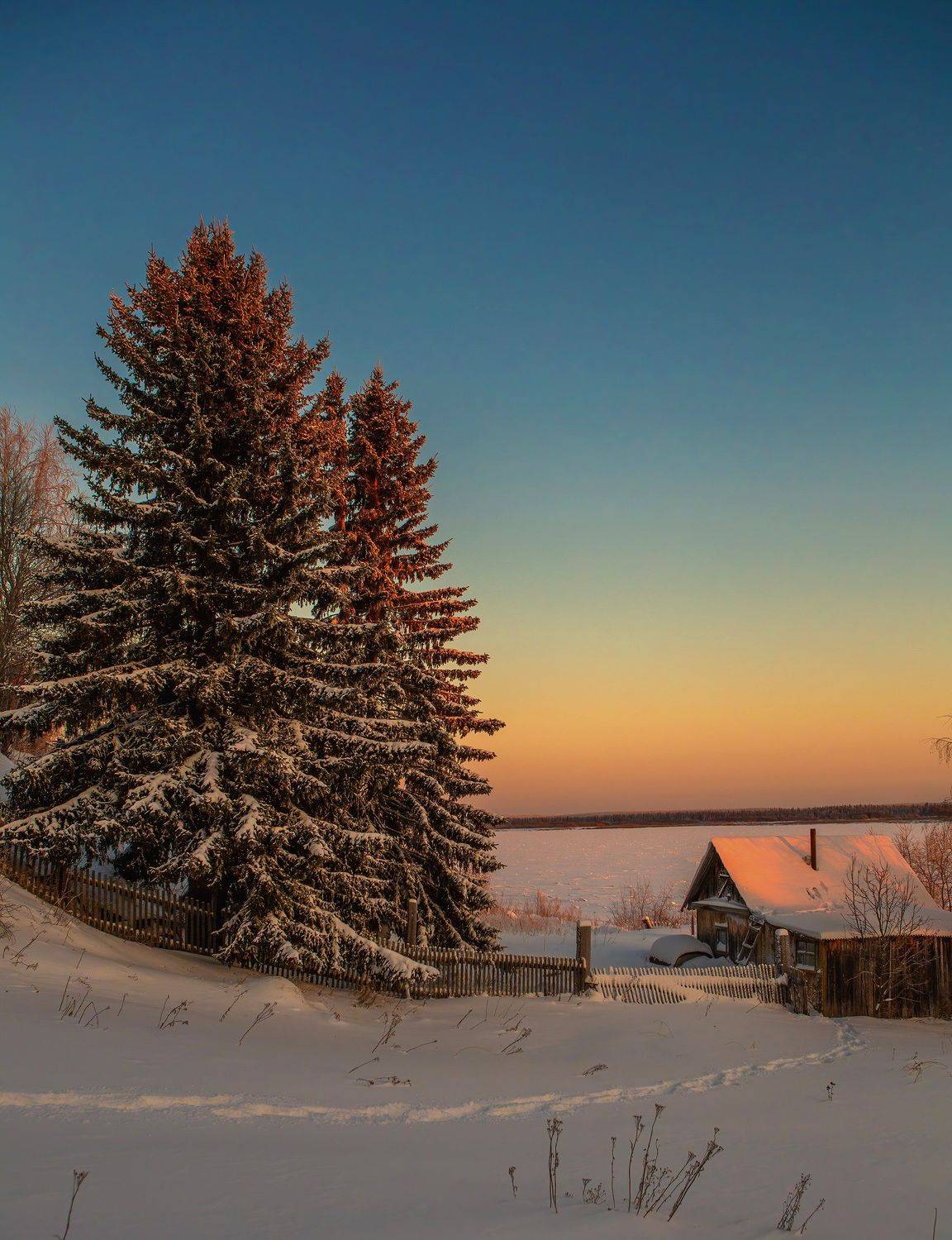 природа,коми,север,холод,мороз,закат,nature, komi, north, cold, frost, sunset,, Игорь Триер