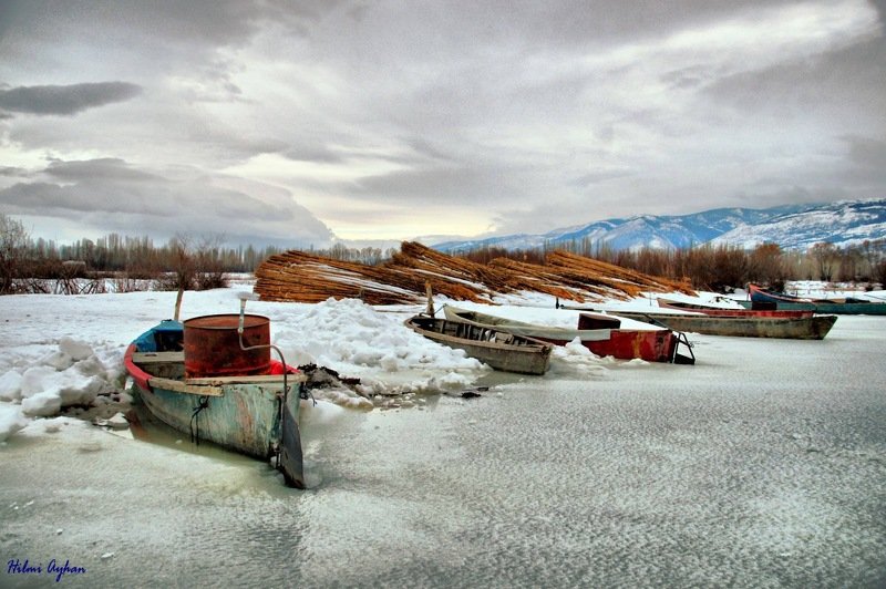 stillife Кайси фото превью