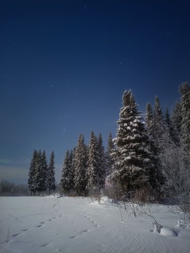 Ночь севера