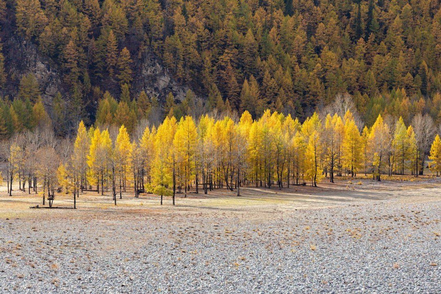 , Илья Буянов