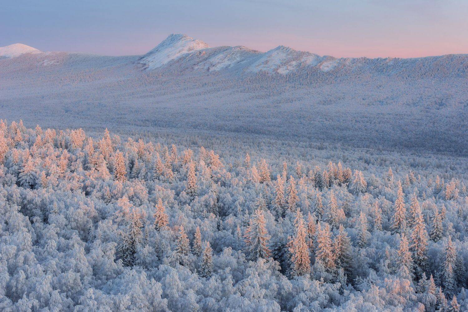 , Михаил Туркеев