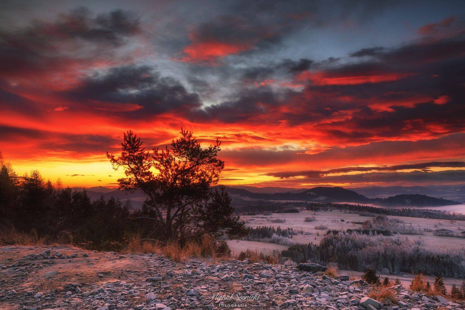 #tatras #mountains #blue #hour #bluehour #sunrise #poland #pentax #benro #benq #haida #sky #fire #tree, Michał Sośnicki