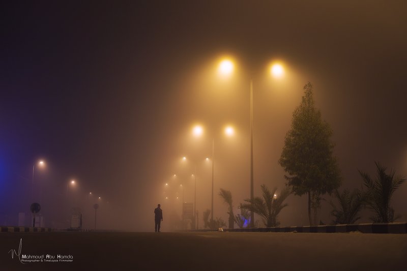 fog, city, city, night, cityscape Fog фото превью